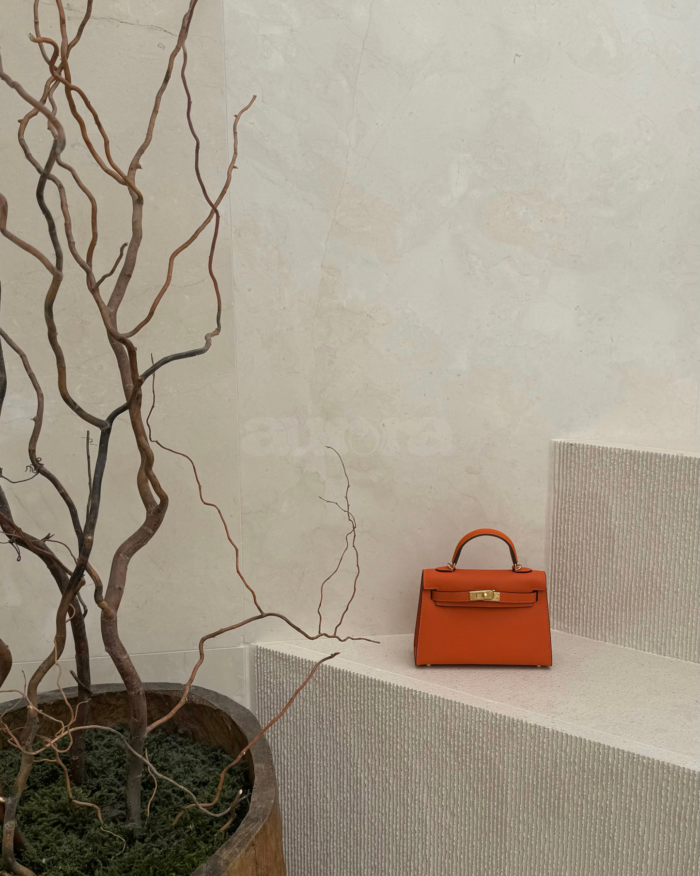 Prestige « Sunset »