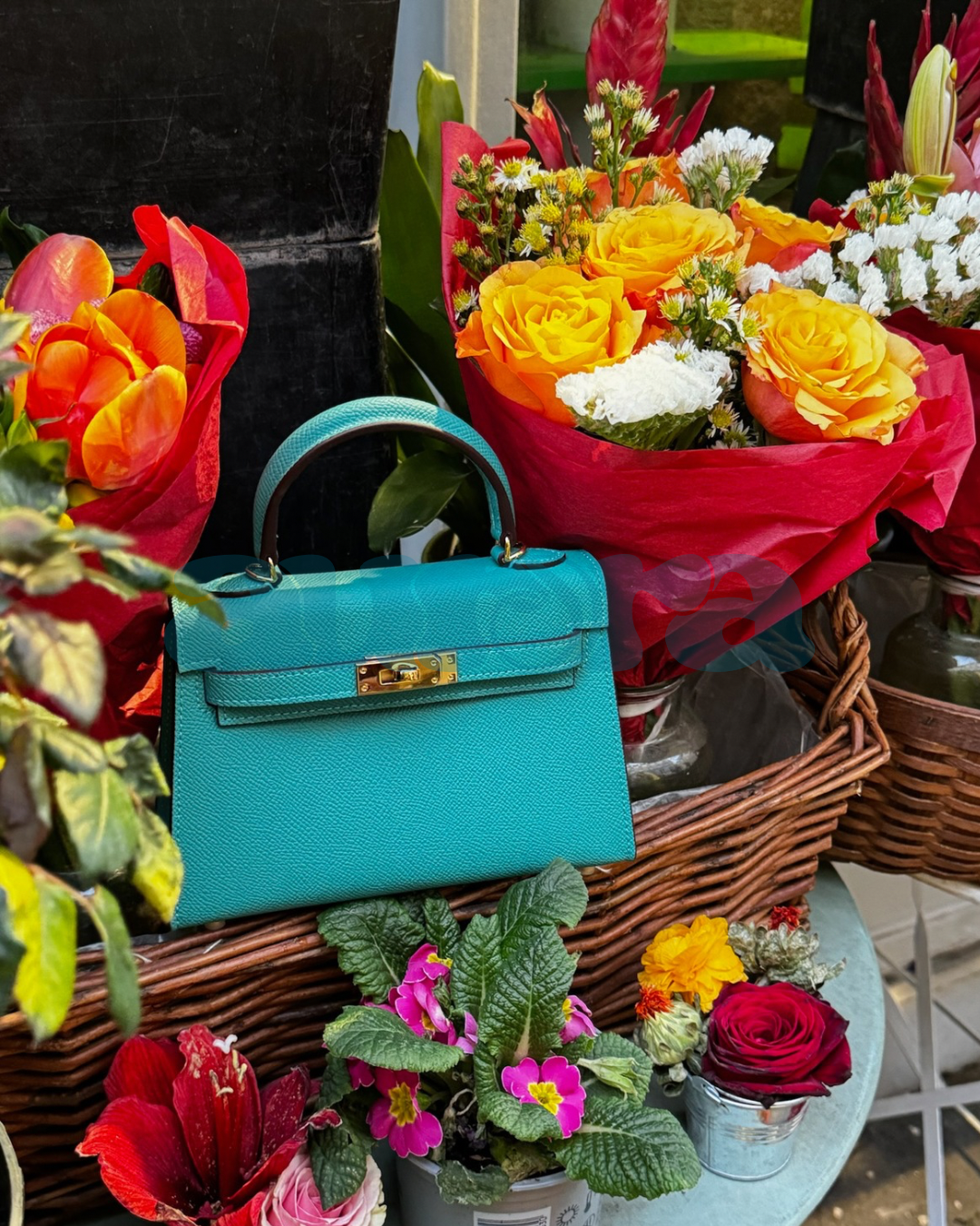 Prestige « Lagoon »